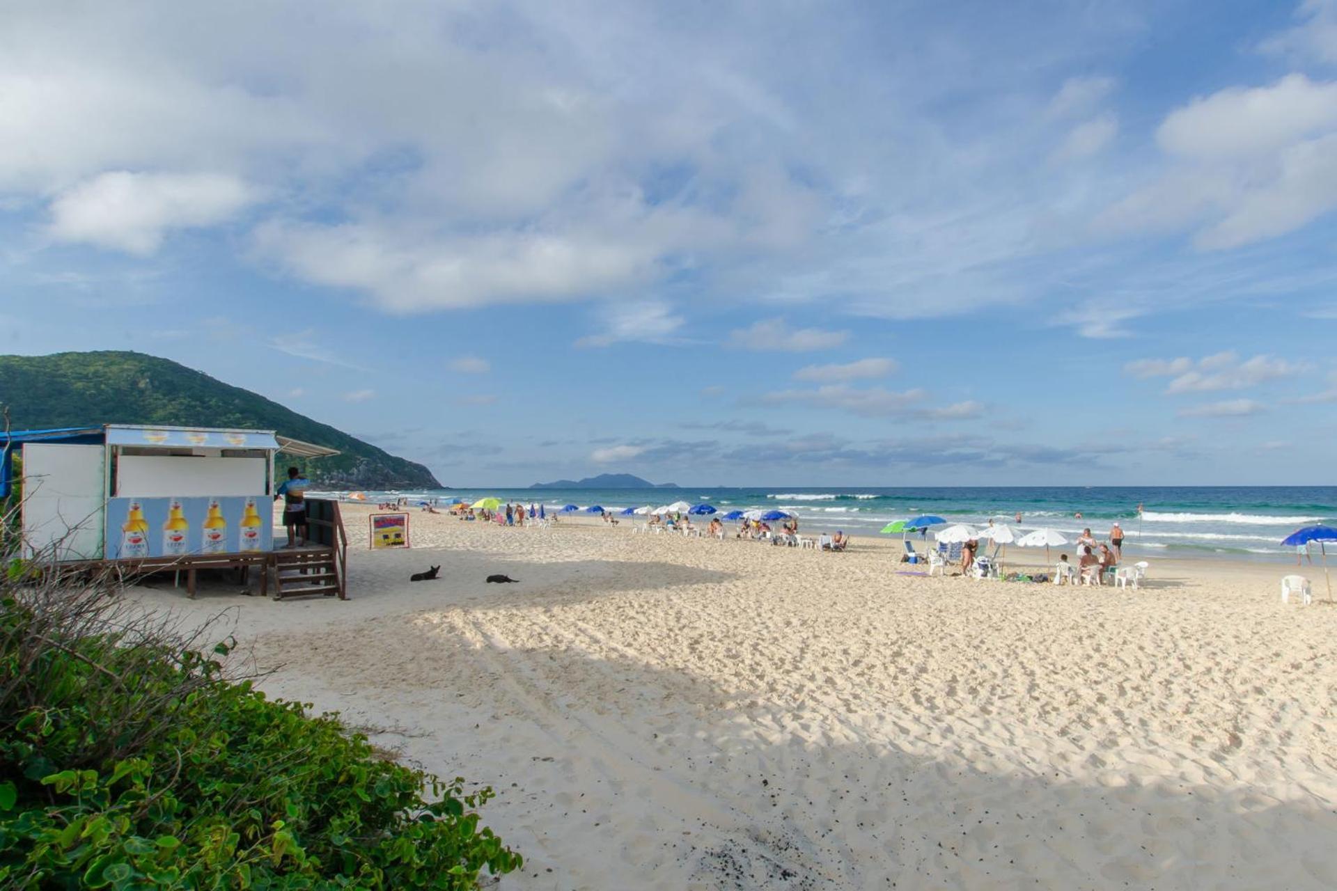 Aconchego Com Piscina A 450M Da Praia Vc1555 Lägenhet Florianópolis Exteriör bild